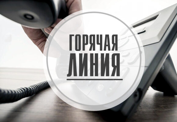 Горячая линия для молодых специалистов