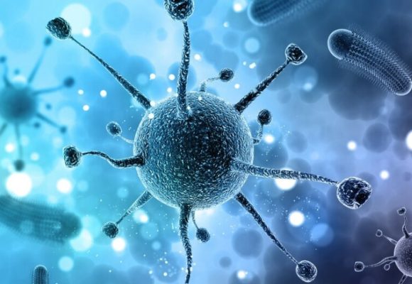 infection Перечень стран, неблагополучных по инфекционным заболеваниям, которые могут представлять чрезвычайную ситуацию в области общественного здравоохранения, имеющую международное значение