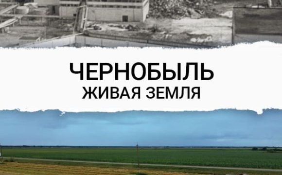 «Чернобыль. Живая земля»
