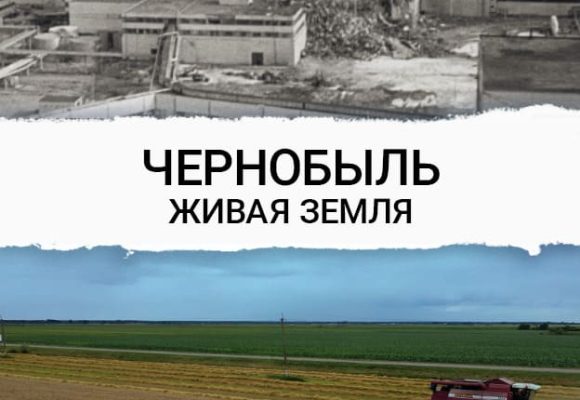 «Чернобыль. Живая земля»